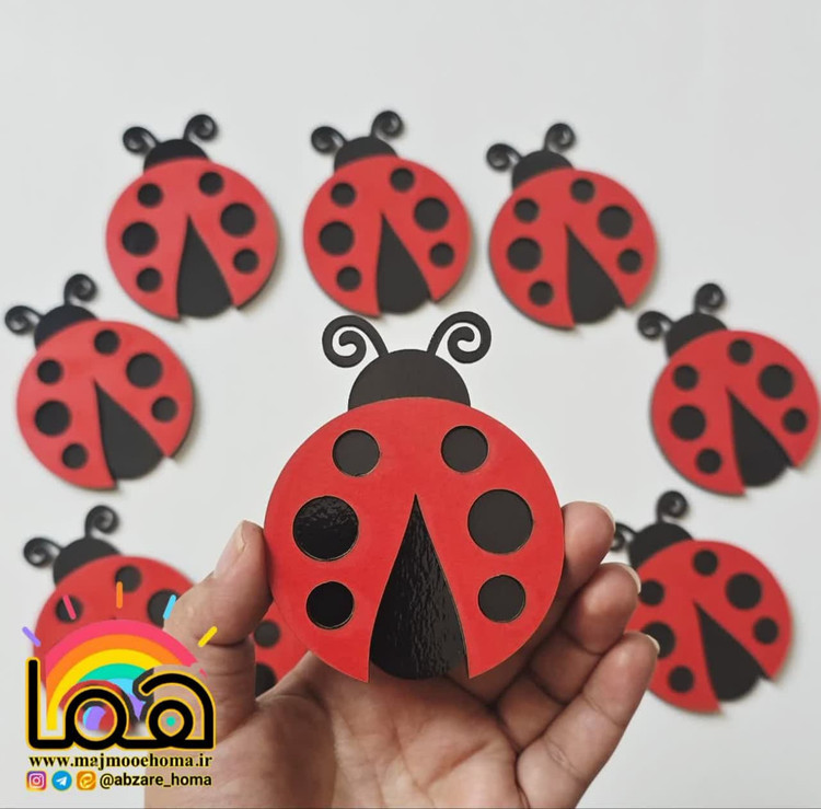 پک شمارشی کفشدوزک