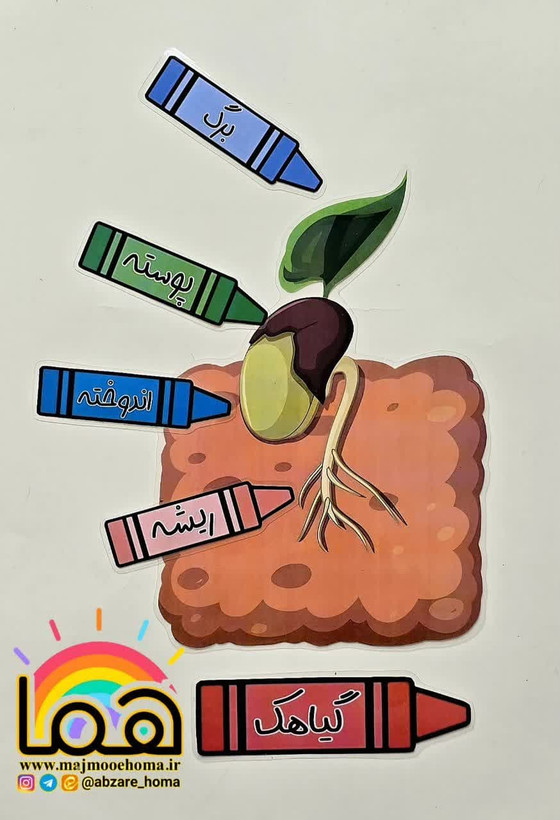 اجزای گیاهک لمینتی مگنت دار