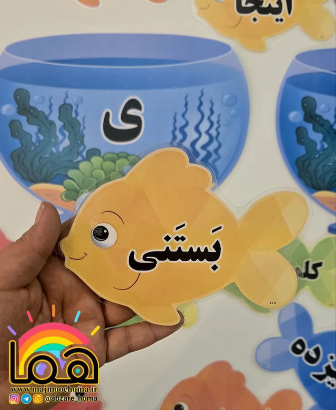 تنگ و ماهی انواع ی