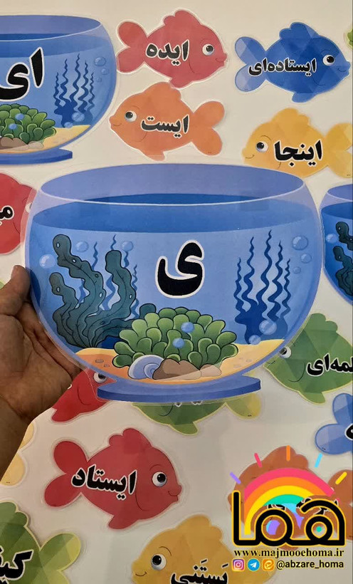تنگ و ماهی انواع ی