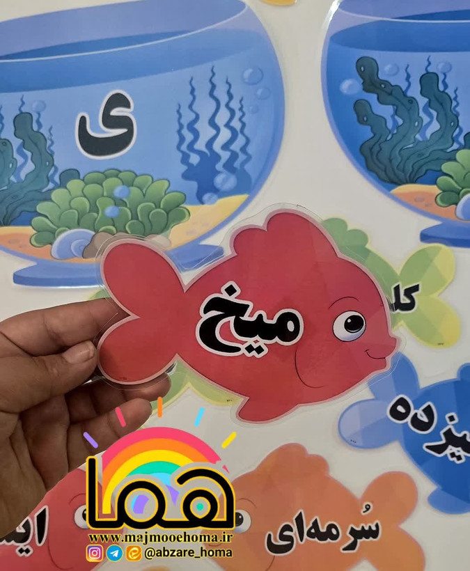 تنگ و ماهی انواع ی