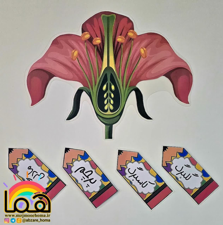 ساختار گل لمینتی مگنت دار
