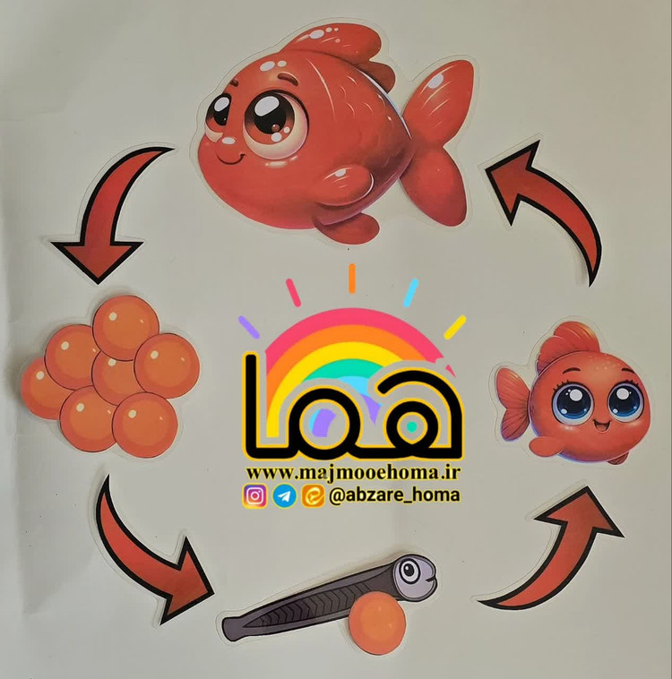چرخه رشد ماهی