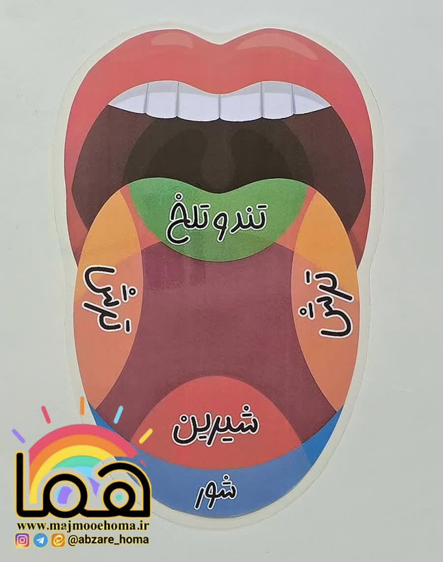 ساختمان زبان