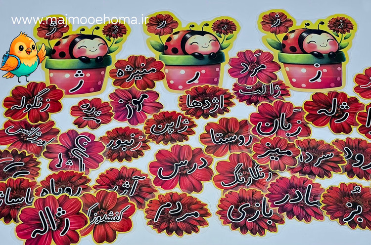 کفشدوزک و گل های ر ز ژ
