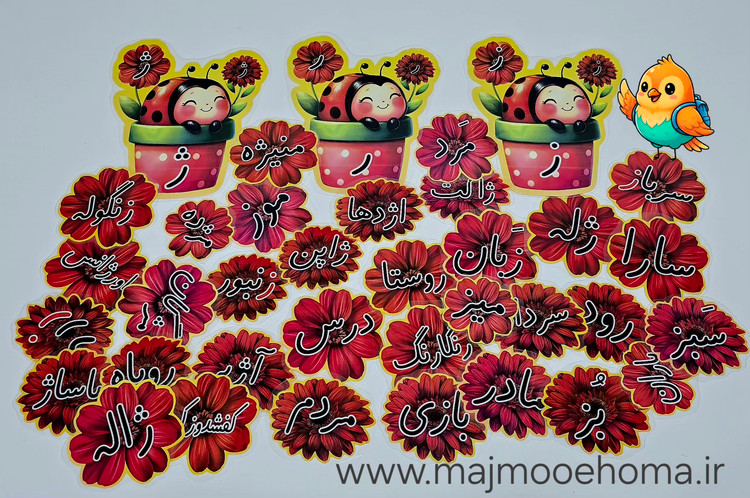 کفشدوزک و گل های ر ز ژ